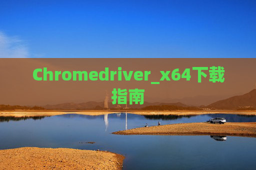 Chromedriver_x64下载指南