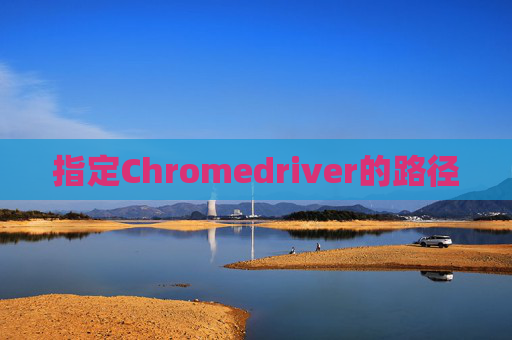 指定Chromedriver的路径