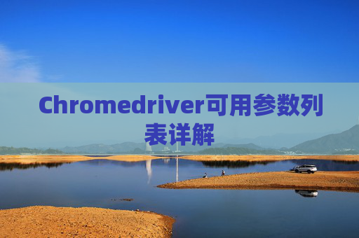 Chromedriver可用参数列表详解