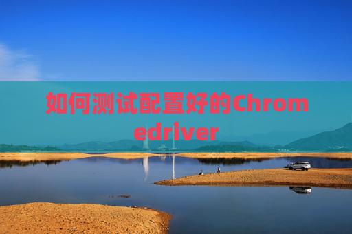 如何测试配置好的Chromedriver